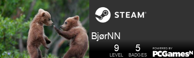 BjørNN Steam Signature