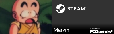 Marvin Steam Signature