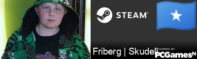 Friberg | Skudeli Steam Signature