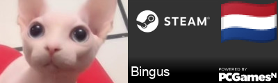 Bingus Steam Signature