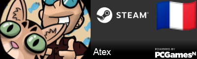 Atex Steam Signature
