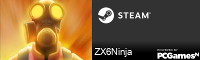 ZX6Ninja Steam Signature