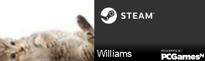 Williams Steam Signature