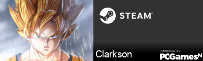 Clarkson Steam Signature