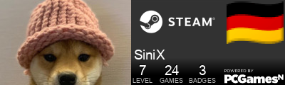 SiniX Steam Signature
