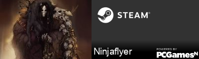 Ninjaflyer Steam Signature