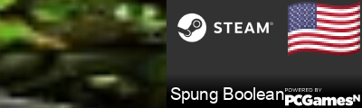 Spung Boolean Steam Signature