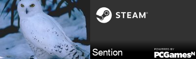 Sention Steam Signature