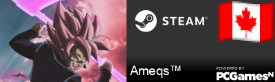 Ameqs™ Steam Signature