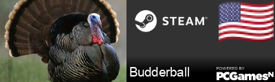 Budderball Steam Signature