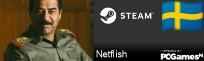 Netflish Steam Signature