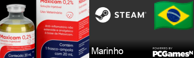 Marinho Steam Signature