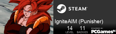 IgniteAIM (Punisher) Steam Signature
