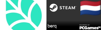 berq Steam Signature
