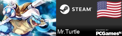 Mr.Turtle Steam Signature