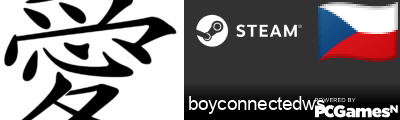 boyconnectedws. Steam Signature