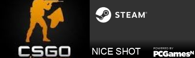 NICE SHOT Steam Signature