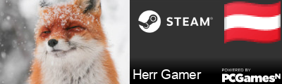 Herr Gamer Steam Signature