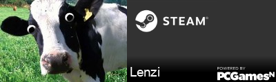 Lenzi Steam Signature