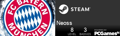 Neoss Steam Signature