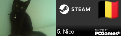 5. Nico Steam Signature