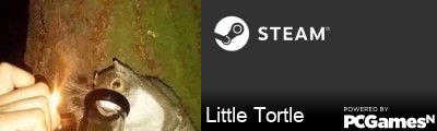 Little Tortle Steam Signature