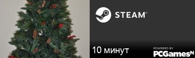 10 минyт Steam Signature