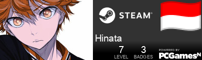 Hinata Steam Signature