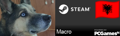Macro Steam Signature