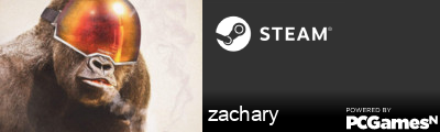 zachary Steam Signature