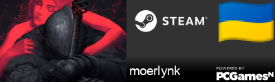 moerlynk Steam Signature