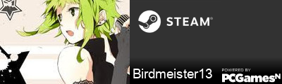 Birdmeister13 Steam Signature