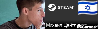Михаил Цейтлин Steam Signature