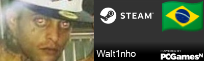 Walt1nho Steam Signature