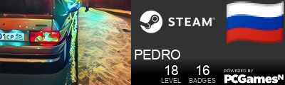 PEDRO Steam Signature