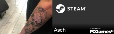 Asch Steam Signature