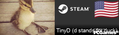 TinyD (d stands for duck) Steam Signature