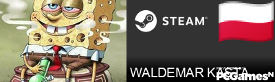 WALDEMAR KASTA Steam Signature