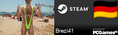 Brezi41 Steam Signature