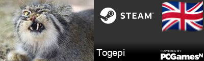 Togepi Steam Signature