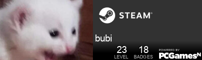 bubi Steam Signature