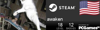 awaken Steam Signature