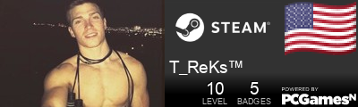 T_ReKs™ Steam Signature