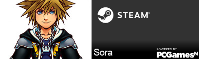 Sora Steam Signature