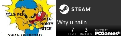 Why u hatin Steam Signature