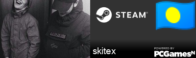 skitex Steam Signature