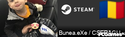 Bunea.eXe / CSFRAGURI.RO Steam Signature