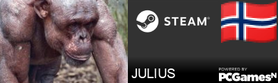 JULIUS Steam Signature