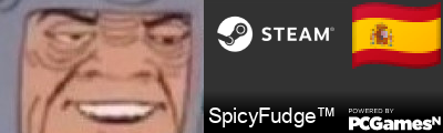 SpicyFudge™ Steam Signature