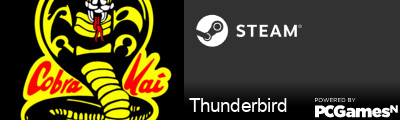 Thunderbird Steam Signature